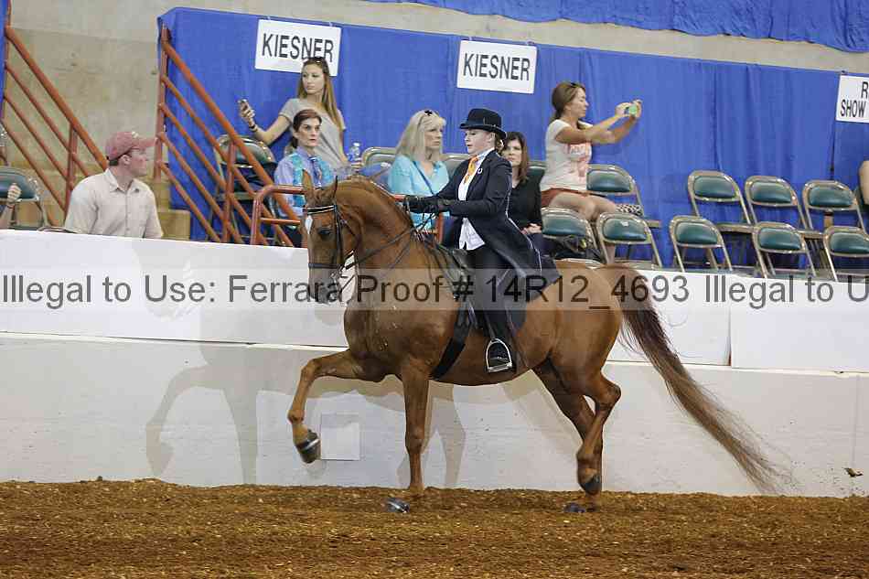 Proof Number 14r12_4693
