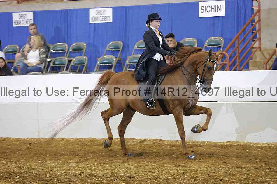 Proof Number 14r12_4697