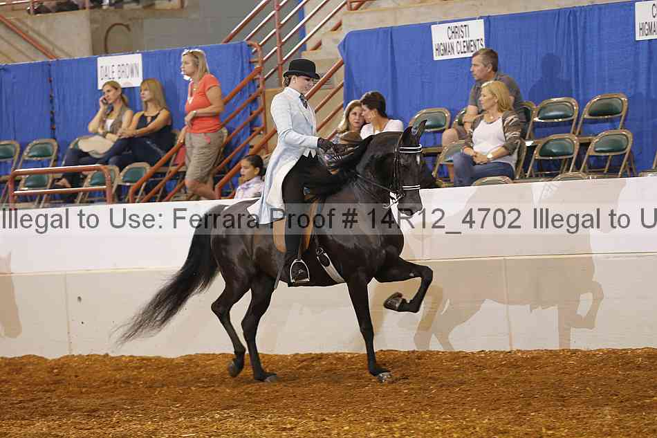 Proof Number 14r12_4702