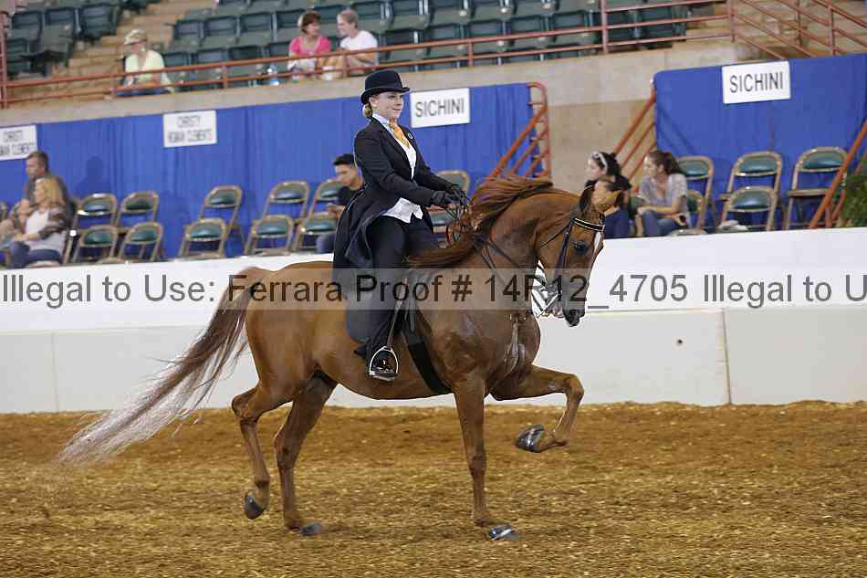 Proof Number 14r12_4705