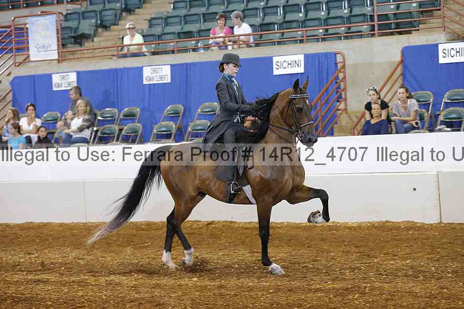 Proof Number 14r12_4707
