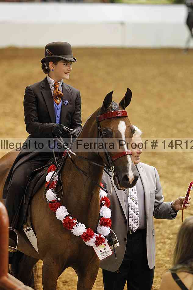 Proof Number 14r12_4713