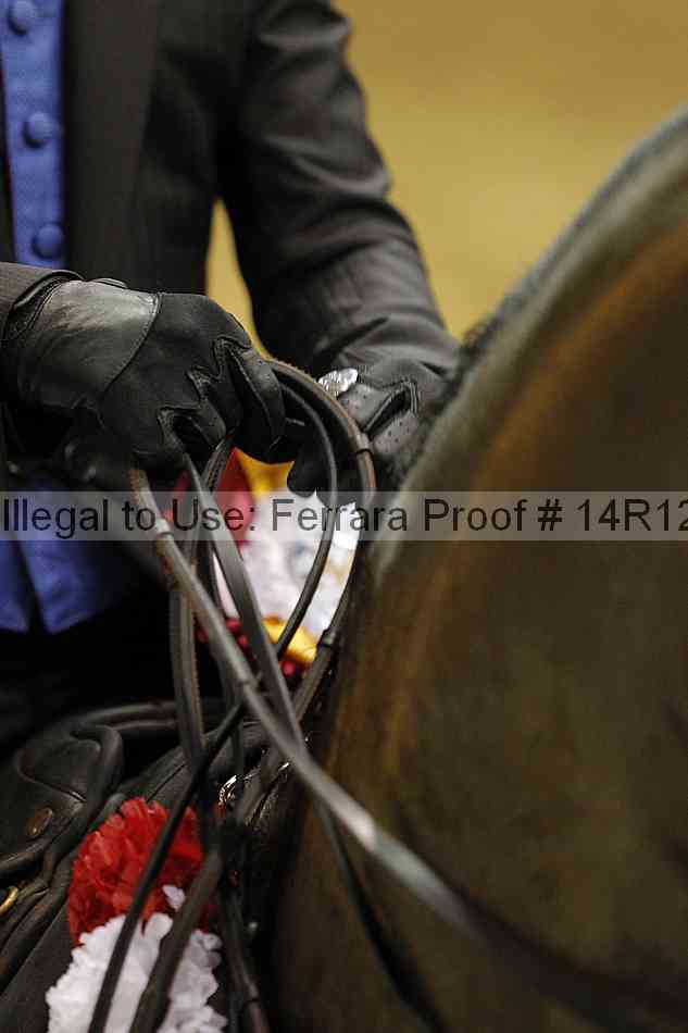 Proof Number 14r12_4715