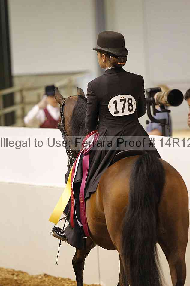 Proof Number 14r12_4719