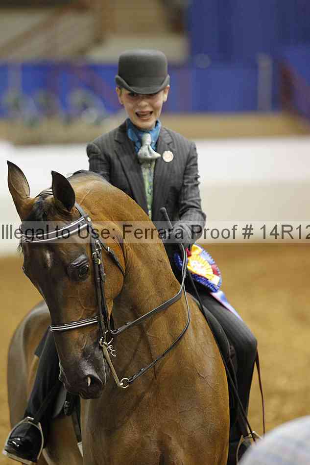Proof Number 14r12_4722