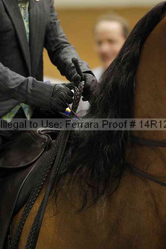 Proof Number 14r12_4723