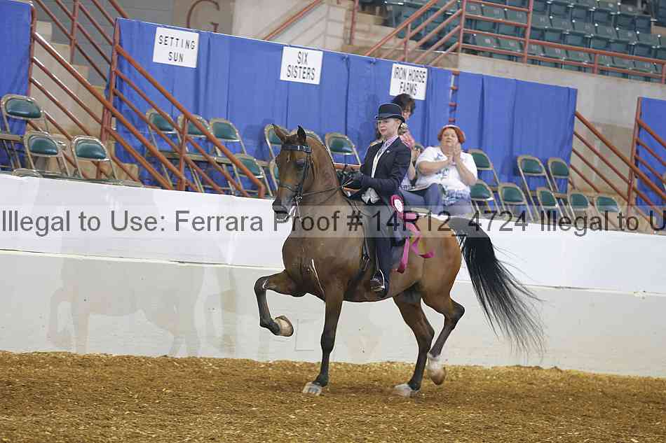 Proof Number 14r12_4724