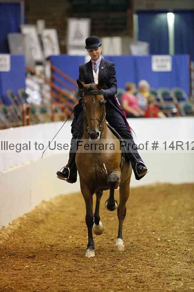 Proof Number 14r12_4727