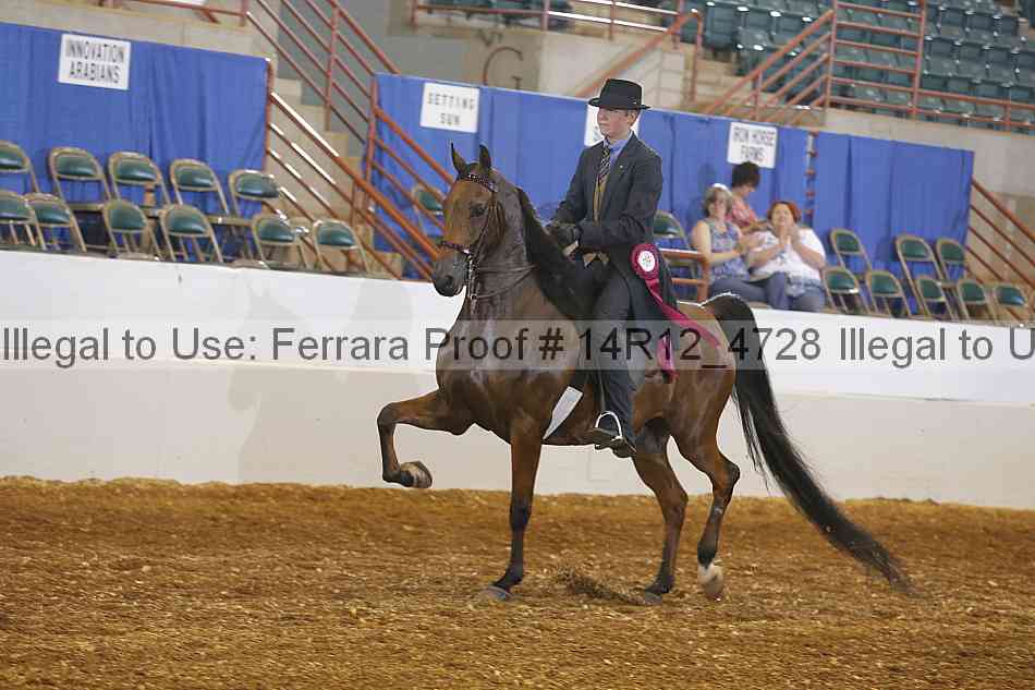 Proof Number 14r12_4728