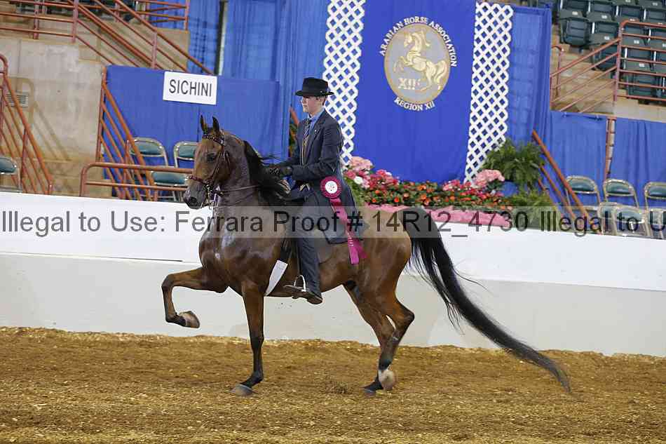 Proof Number 14r12_4730