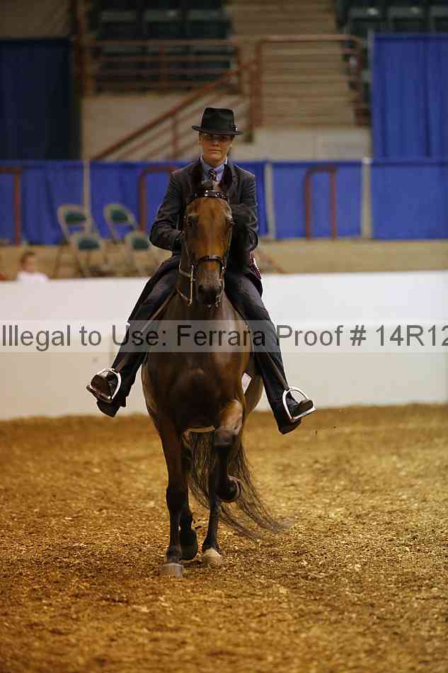 Proof Number 14r12_4731