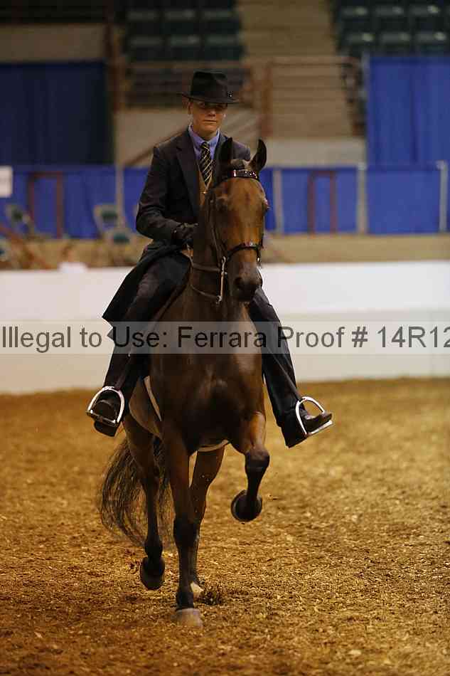 Proof Number 14r12_4732