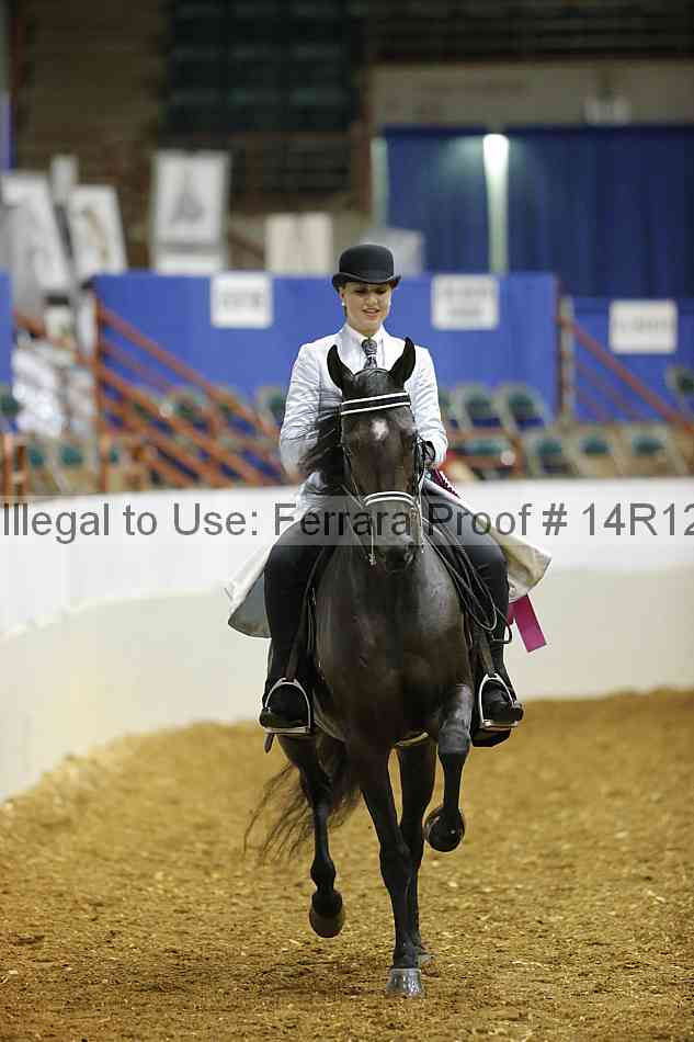 Proof Number 14r12_4737