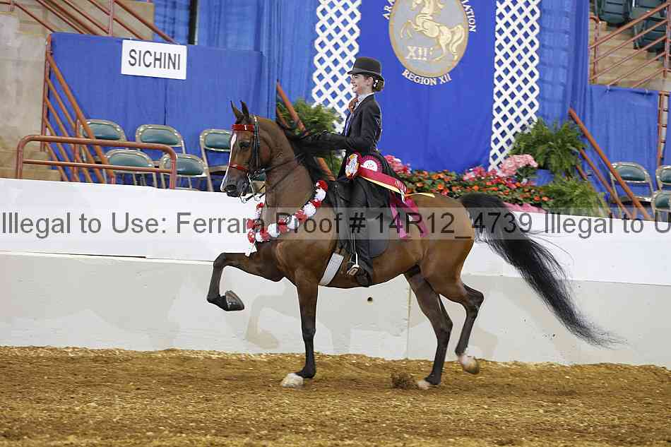 Proof Number 14r12_4739