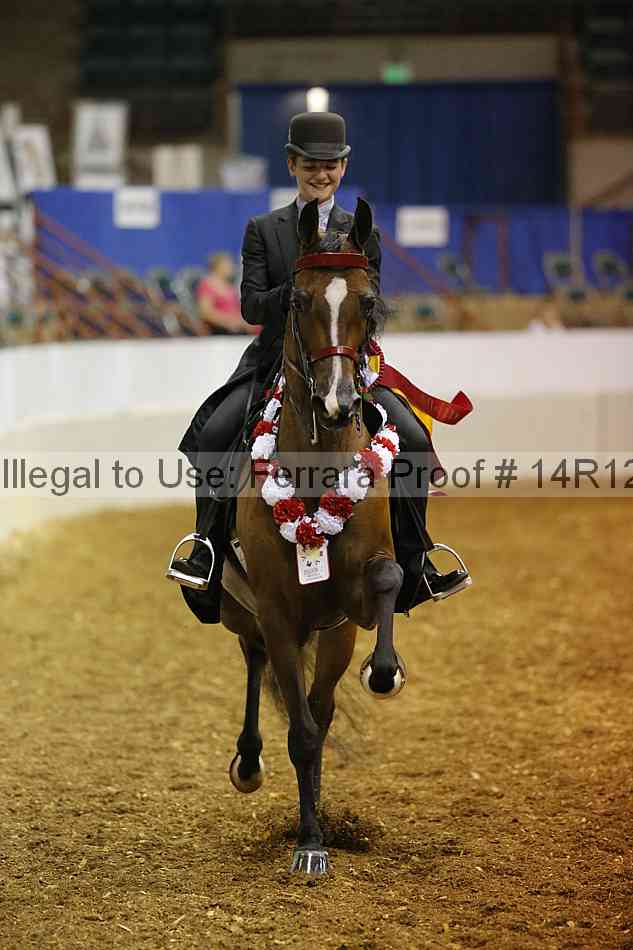 Proof Number 14r12_4741