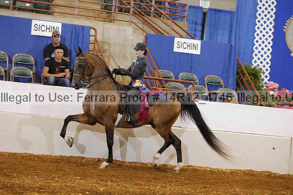 Proof Number 14r12_4746