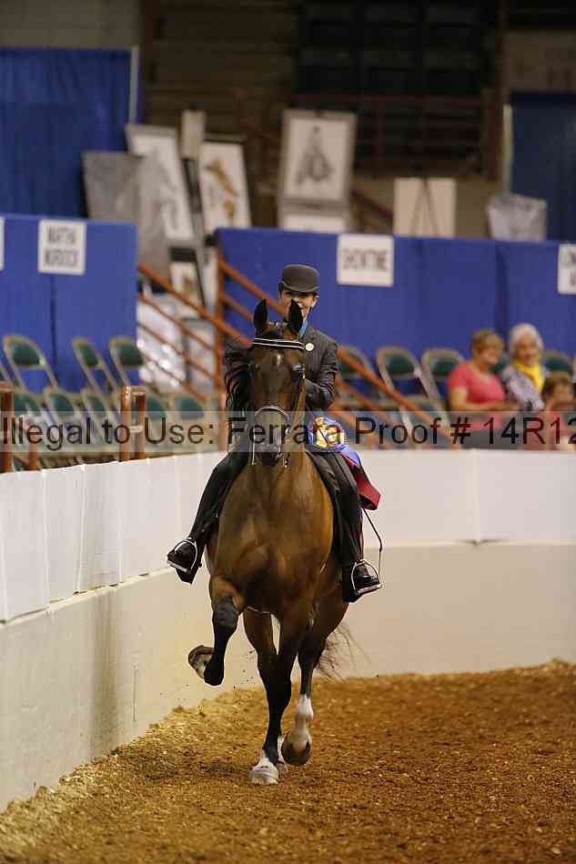 Proof Number 14r12_4747