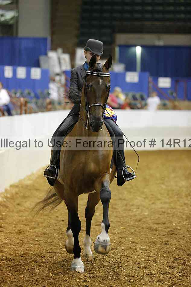 Proof Number 14r12_4748