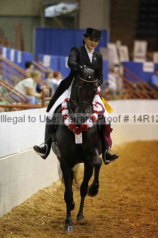 Proof Number 14r12_4781