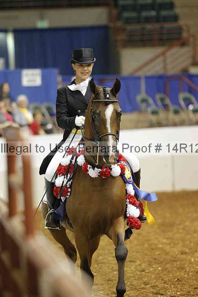 Proof Number 14r12_4783