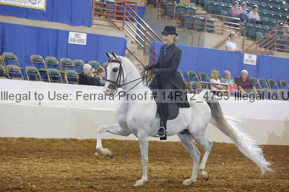 Proof Number 14r12_4793
