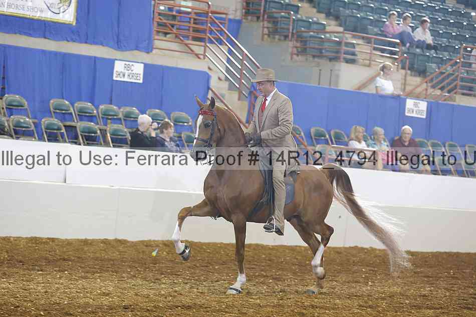 Proof Number 14r12_4794