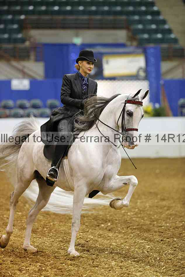 Proof Number 14r12_4799