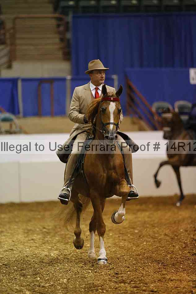 Proof Number 14r12_4801