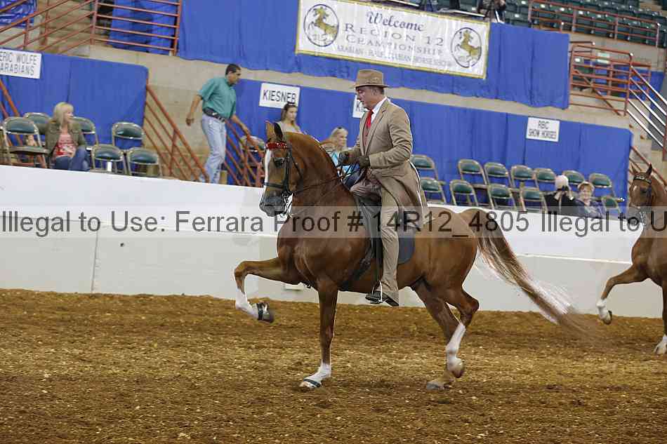 Proof Number 14r12_4805