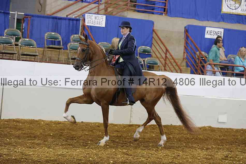 Proof Number 14r12_4806