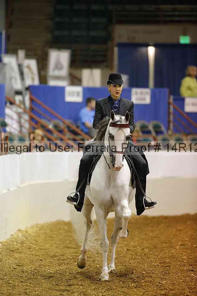 Proof Number 14r12_4808