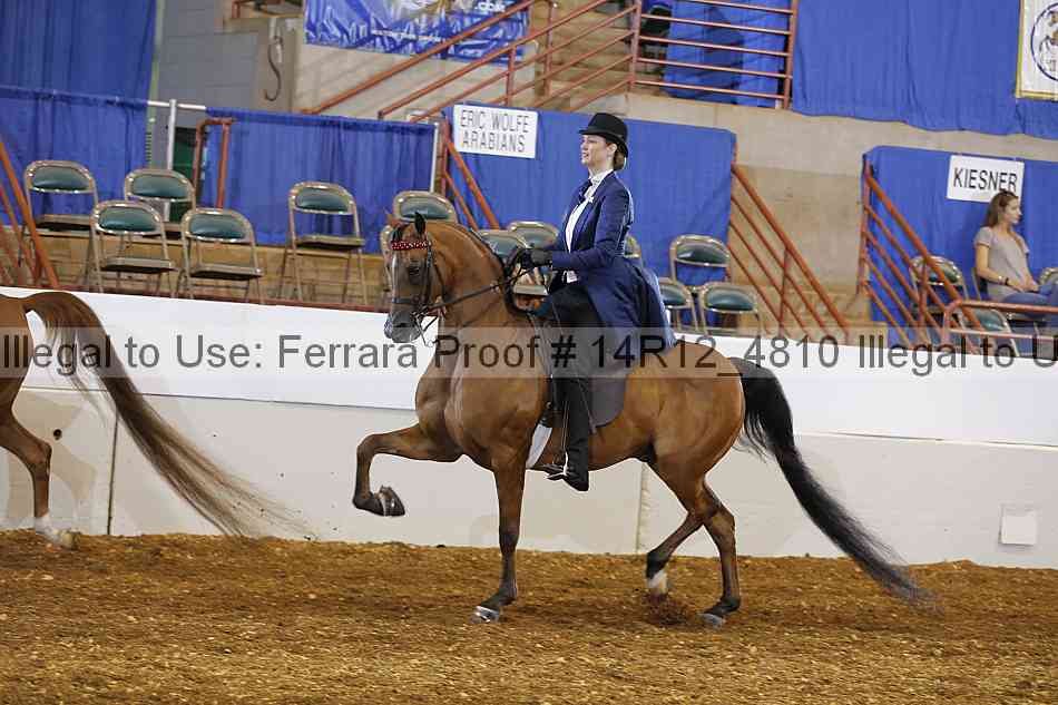 Proof Number 14r12_4810