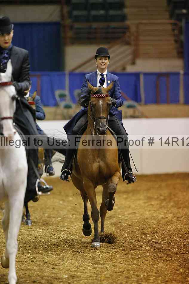 Proof Number 14r12_4817