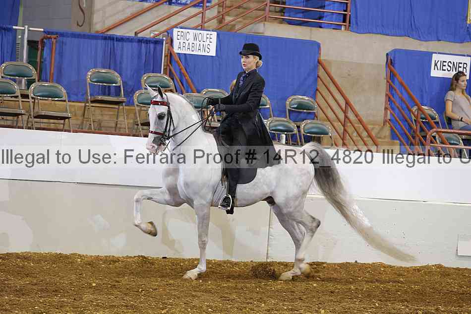 Proof Number 14r12_4820
