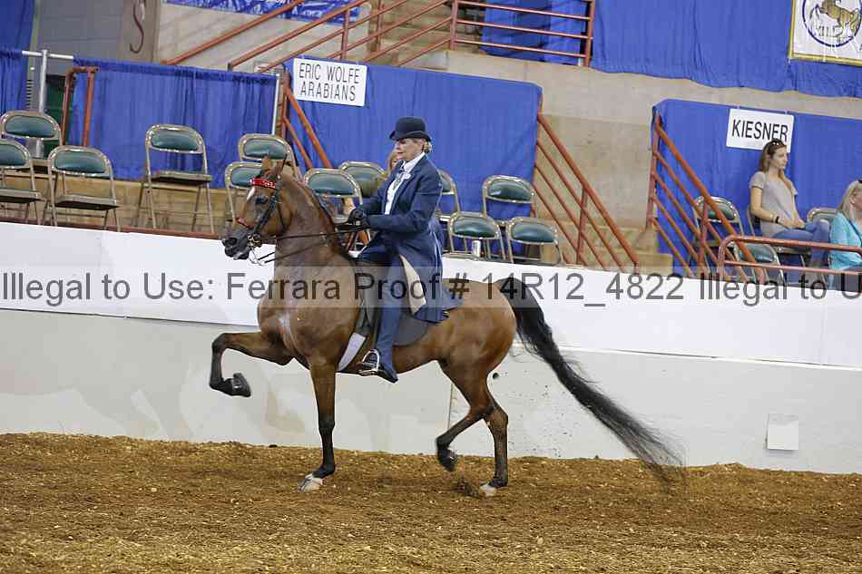 Proof Number 14r12_4822