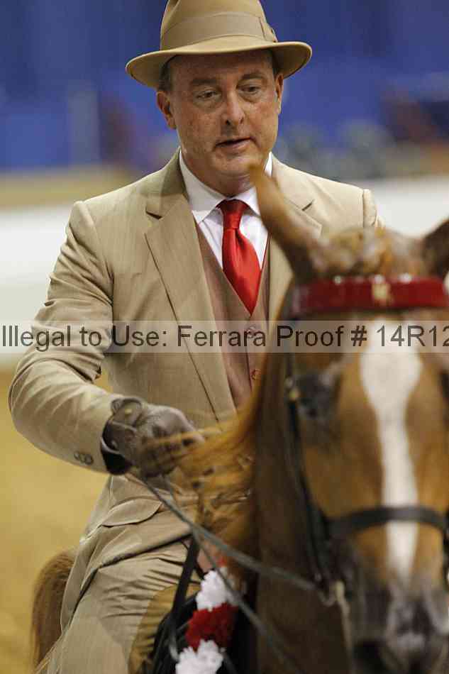 Proof Number 14r12_4836