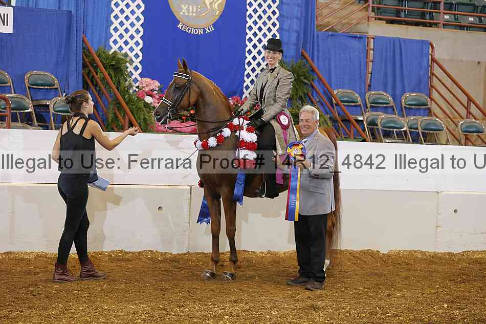 Proof Number 14r12_4842