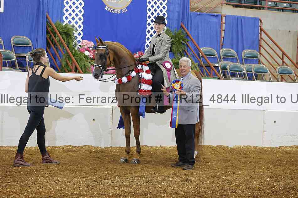 Proof Number 14r12_4844