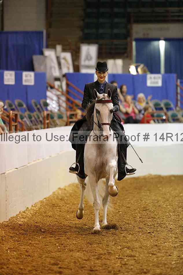Proof Number 14r12_4852