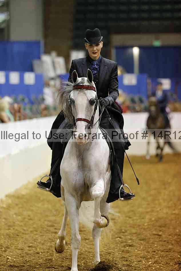 Proof Number 14r12_4855