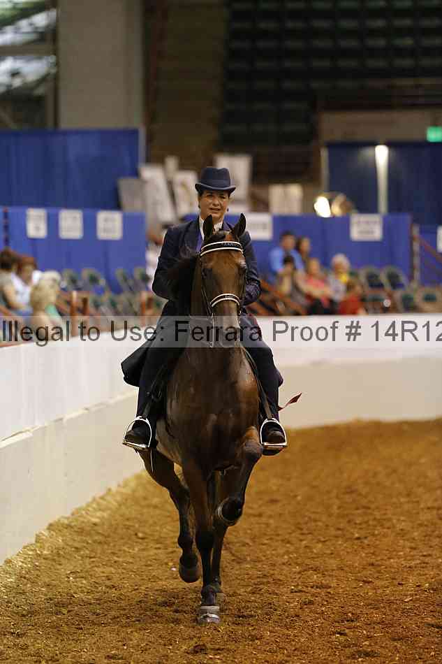 Proof Number 14r12_4859