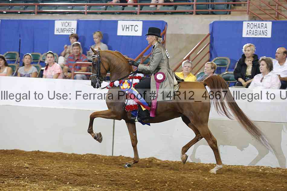 Proof Number 14r12_4867
