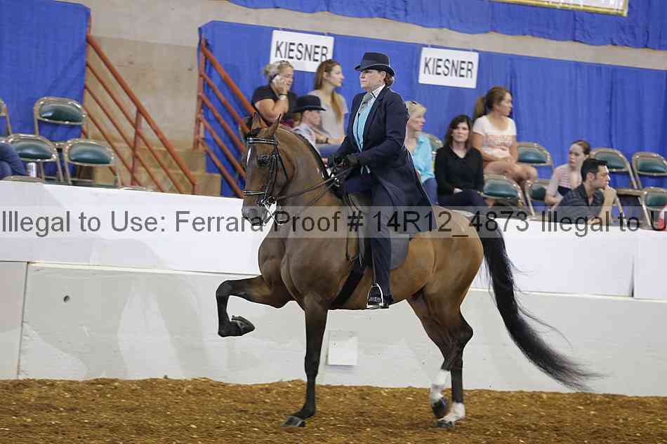 Proof Number 14r12_4873