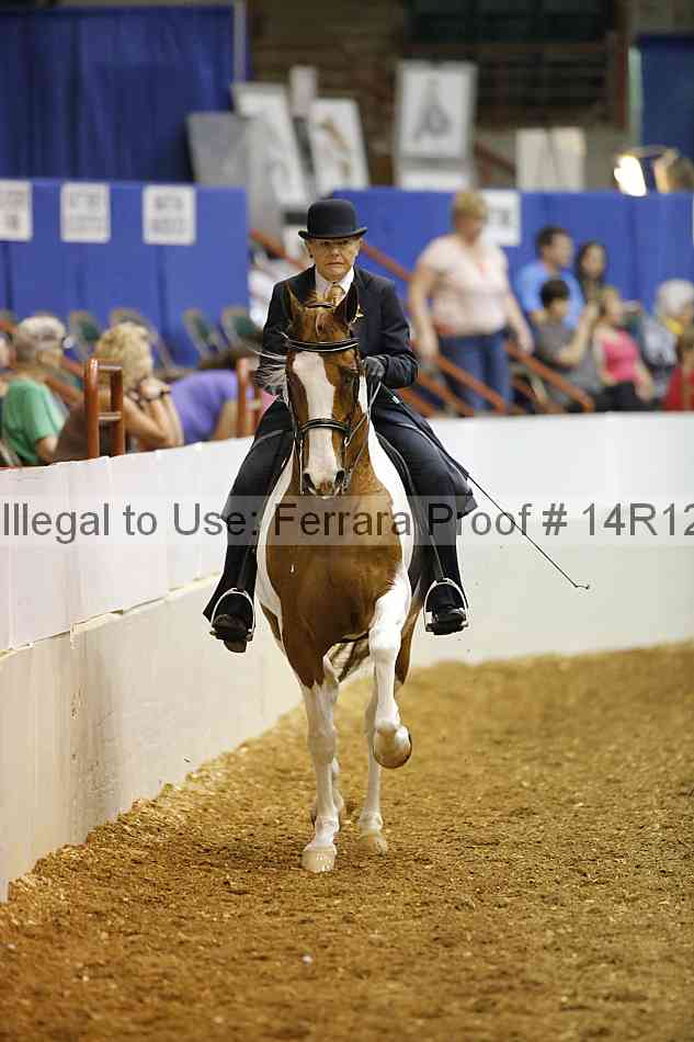 Proof Number 14r12_4876