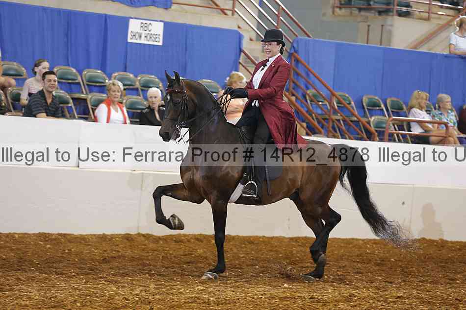 Proof Number 14r12_4878