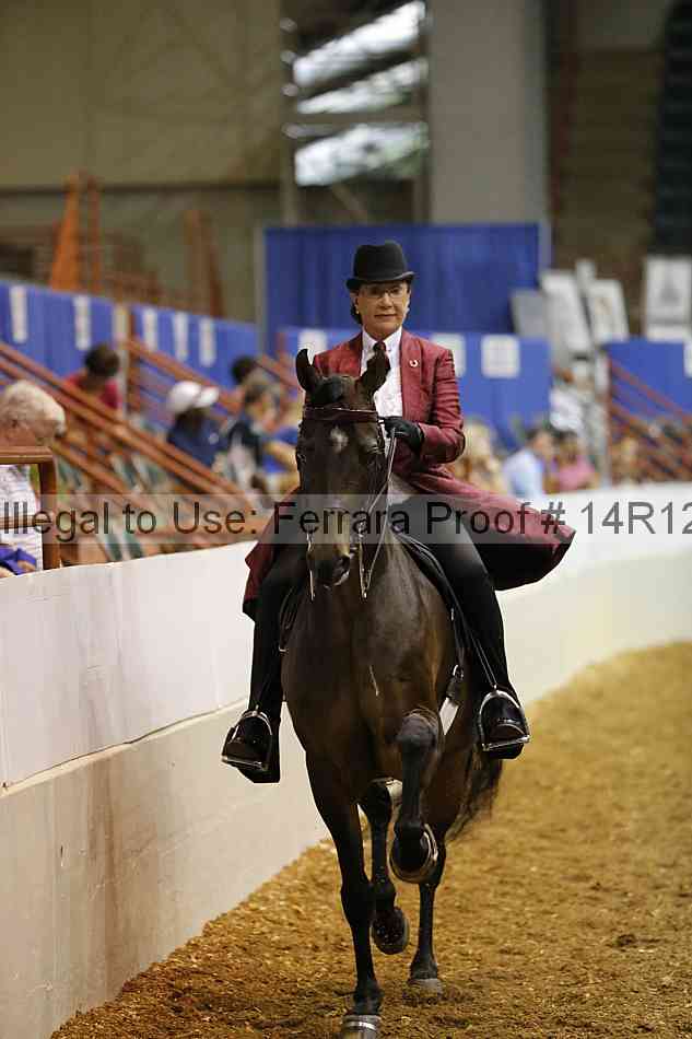 Proof Number 14r12_4889