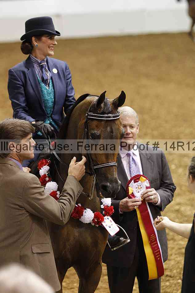 Proof Number 14r12_4894