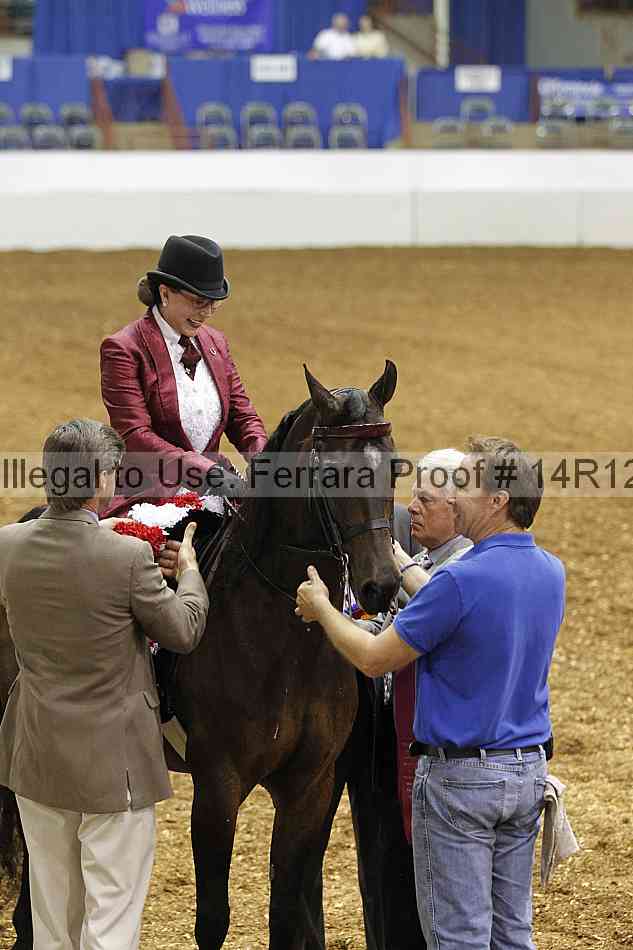 Proof Number 14r12_4904
