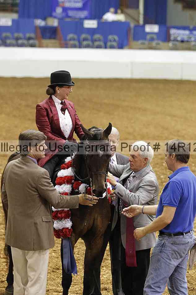 Proof Number 14r12_4905