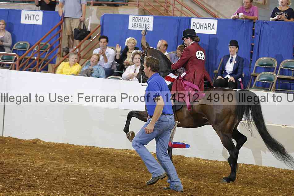 Proof Number 14r12_4910